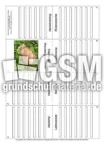 Faltbuch-Weinbergschnecke.pdf